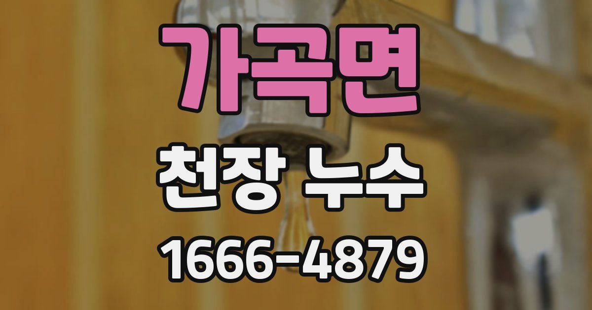 가곡면 천장 누수