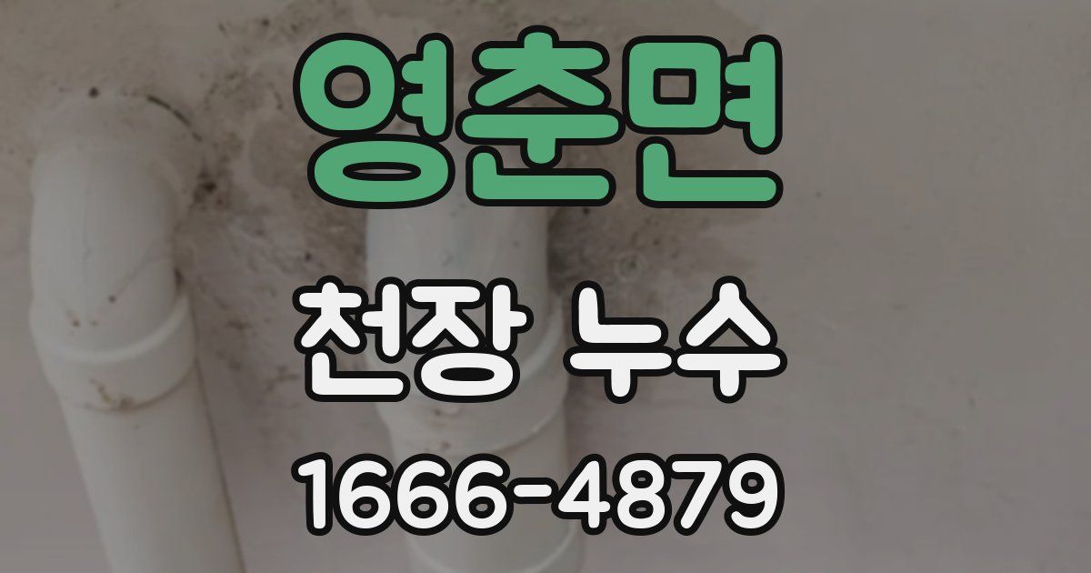 영춘면 천장 누수