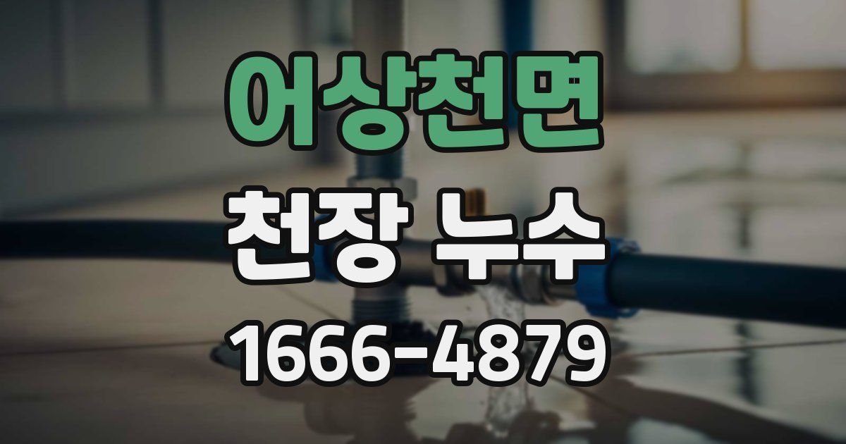 어상천면 천장 누수