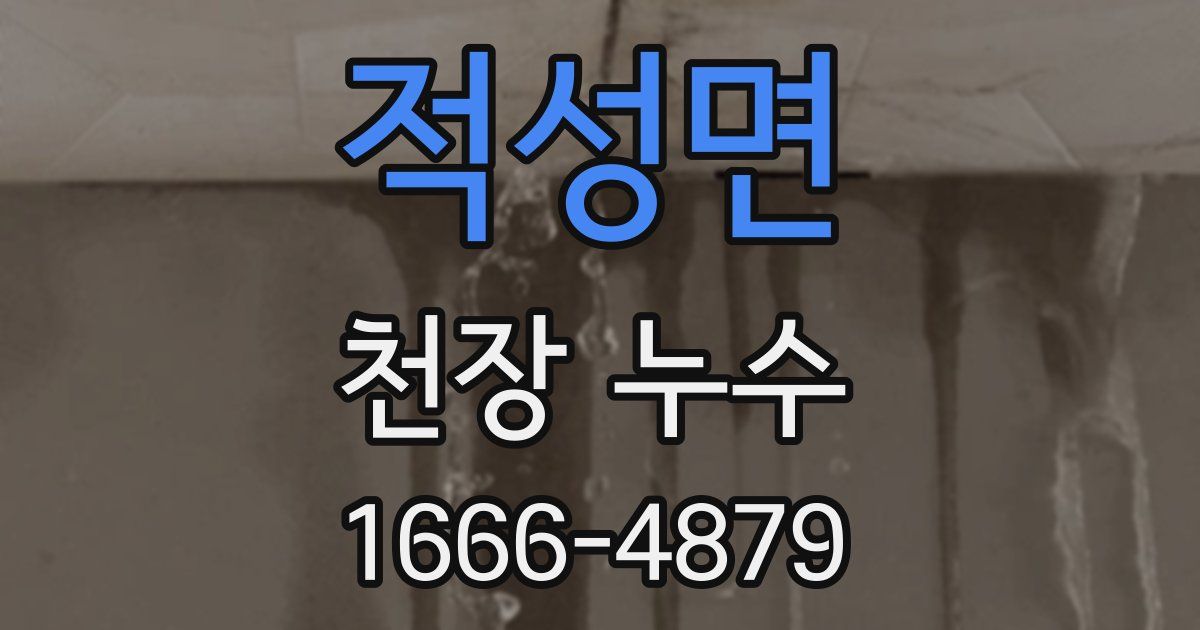 적성면 천장 누수