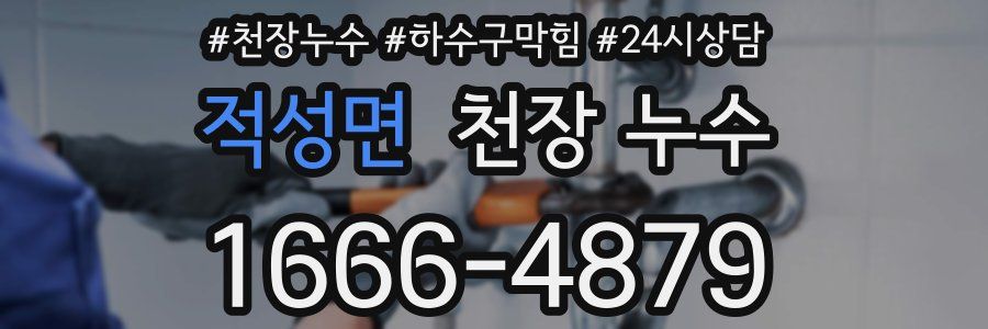 적성면 천장 누수