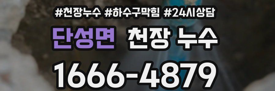 단성면 천장 누수