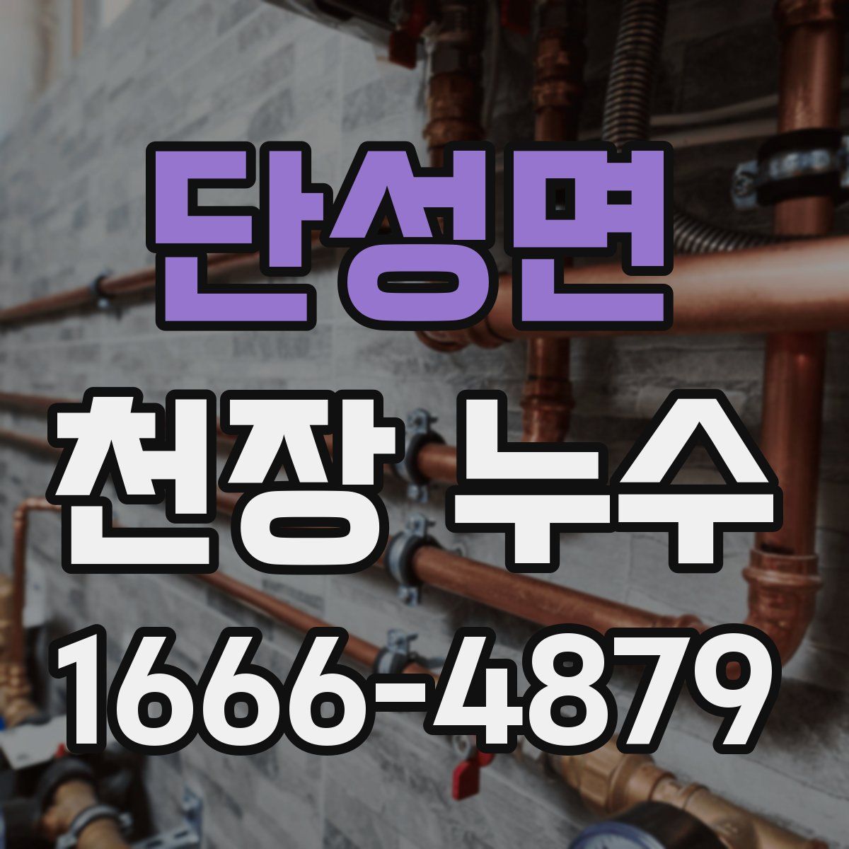 단성면 천장 누수