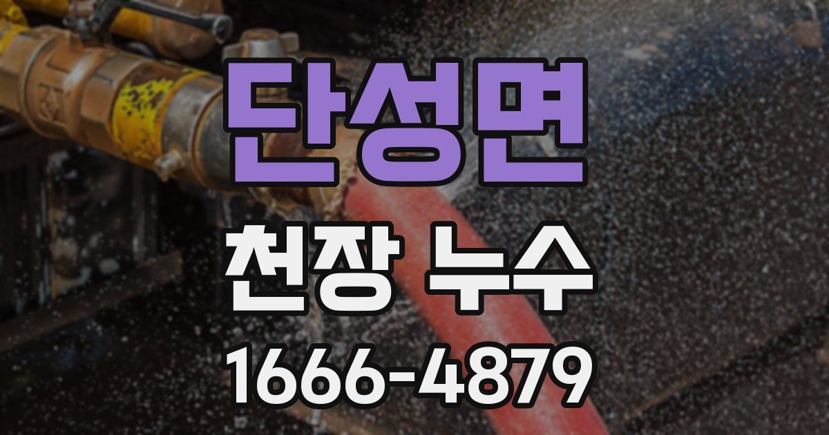 단성면 천장 누수