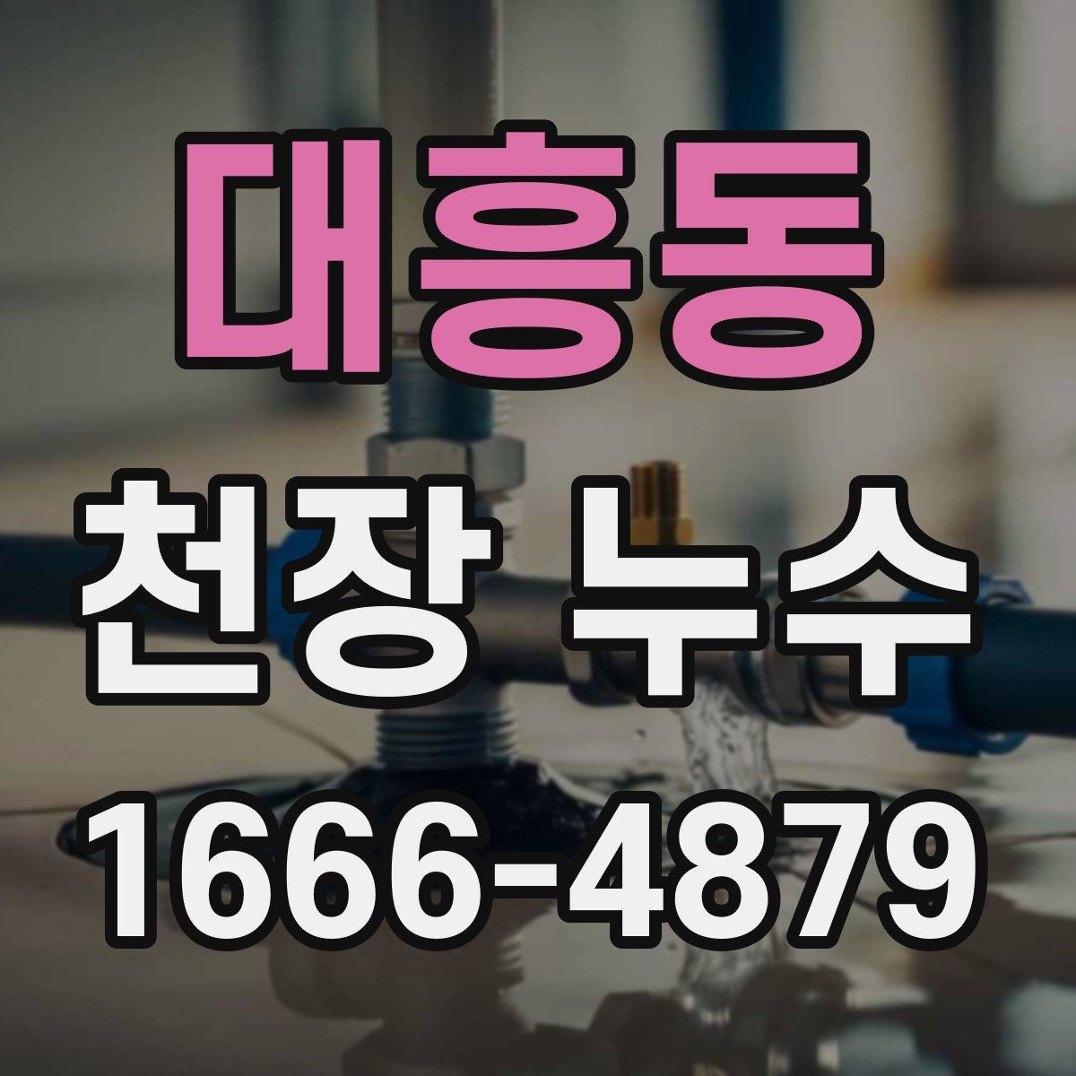 대흥동 천장 누수