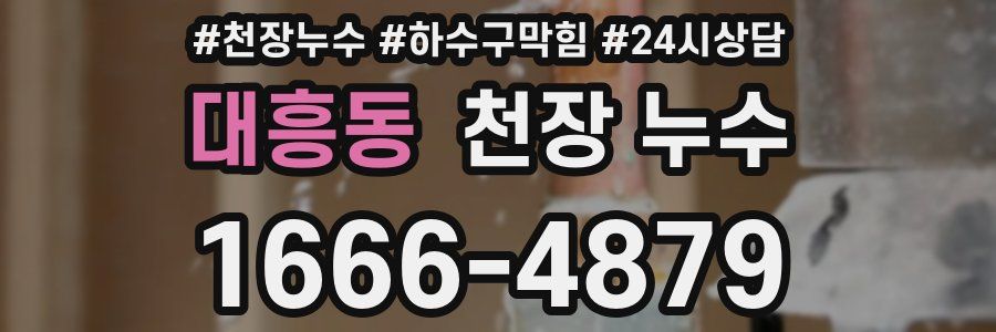 대흥동 천장 누수