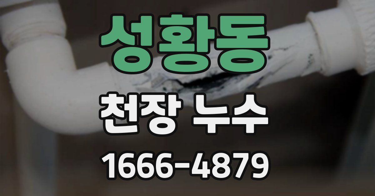 성황동 천장 누수