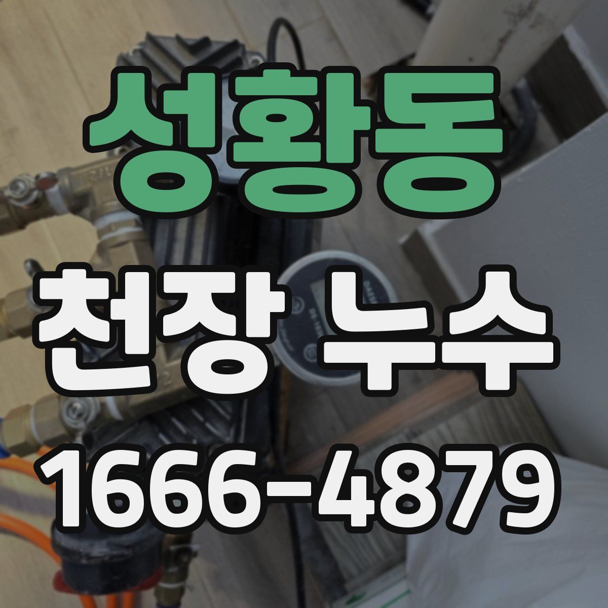 성황동 천장 누수