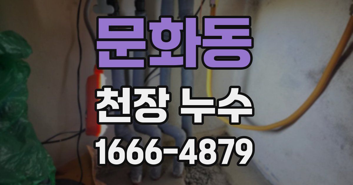 문화동 천장 누수