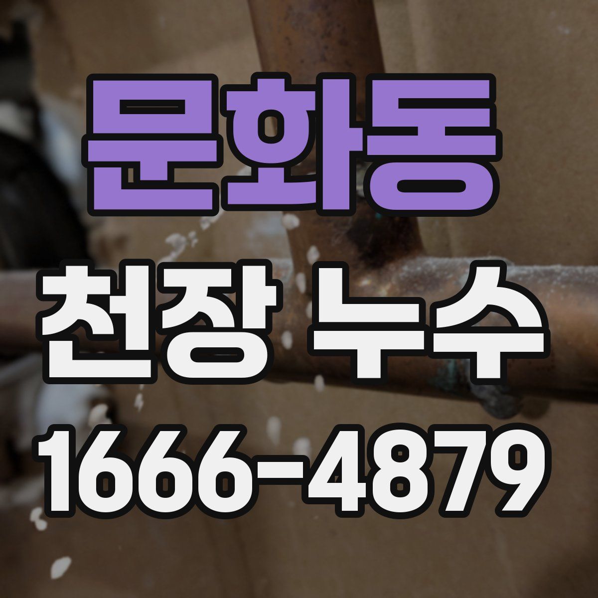 문화동 천장 누수