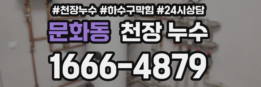 문화동 천장 누수