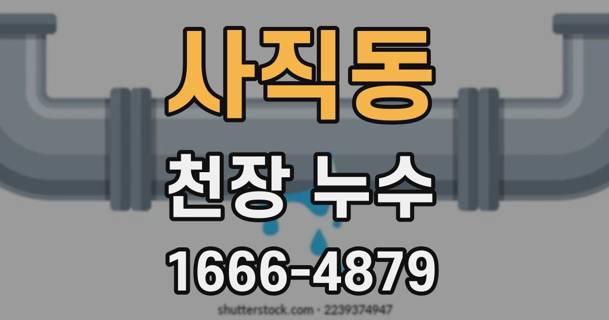 사직동 천장 누수