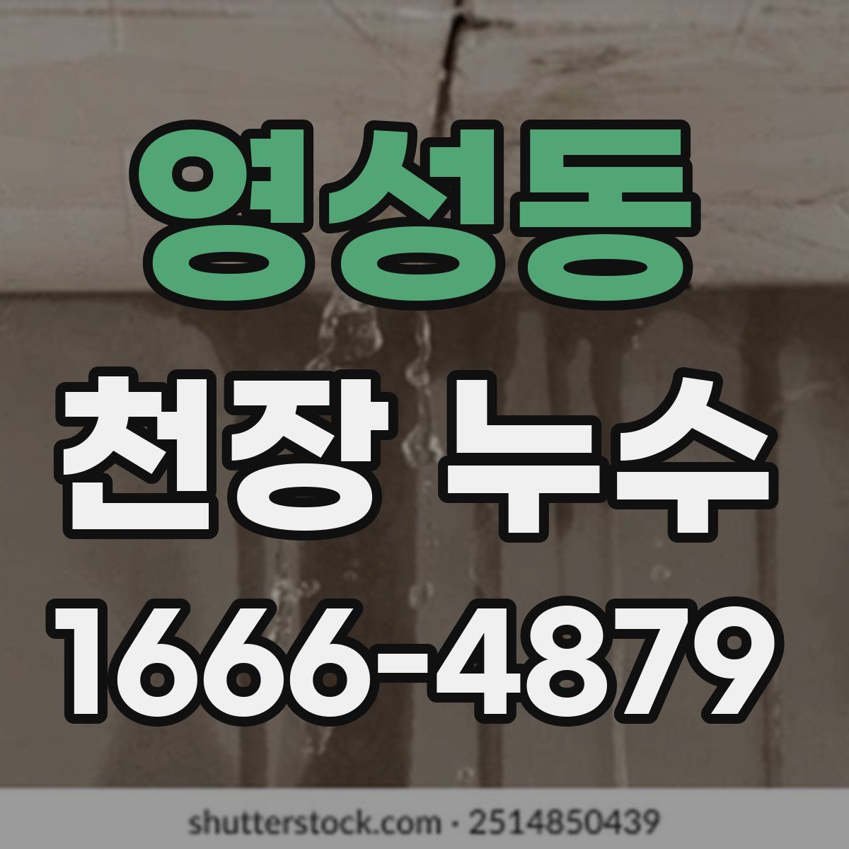 영성동 천장 누수