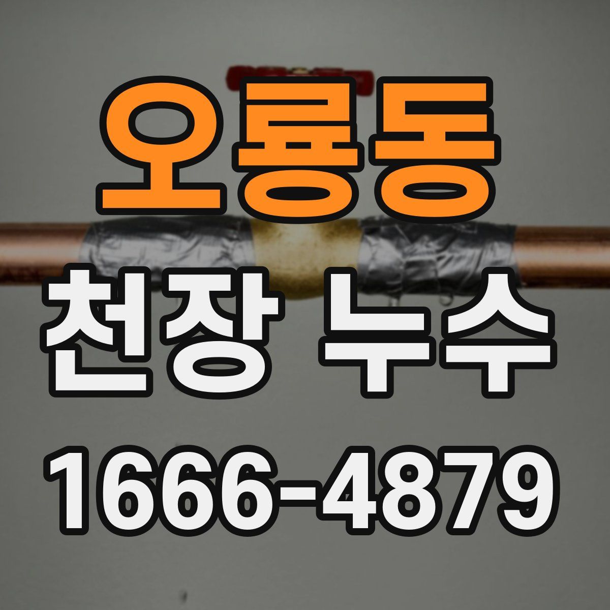 오룡동 천장 누수