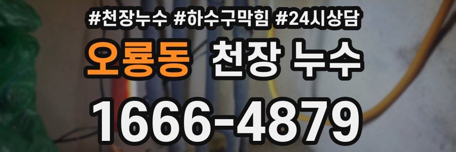 오룡동 천장 누수