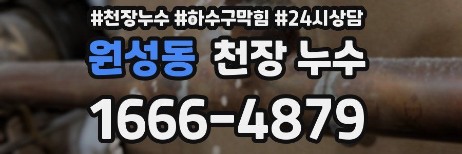 원성동 천장 누수