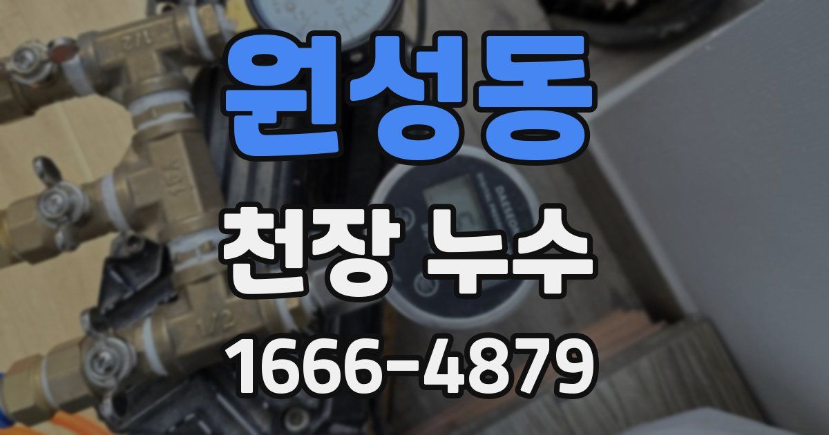 원성동 천장 누수