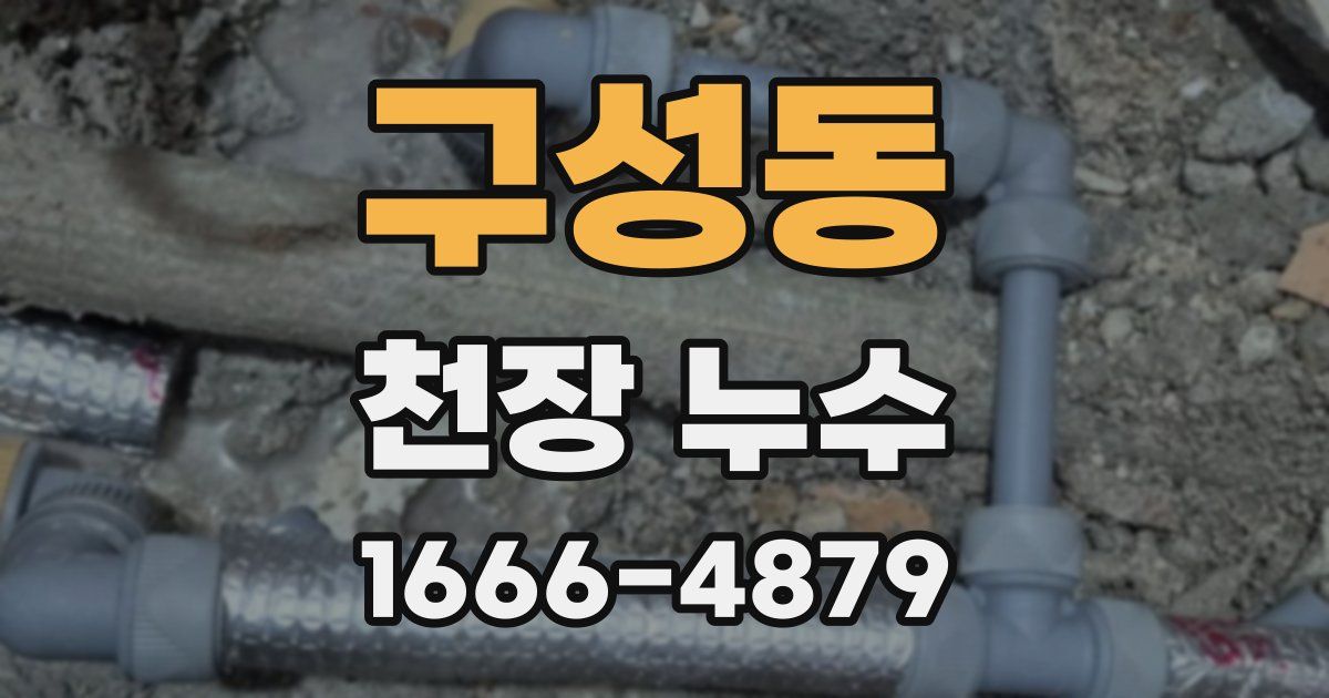 구성동 천장 누수