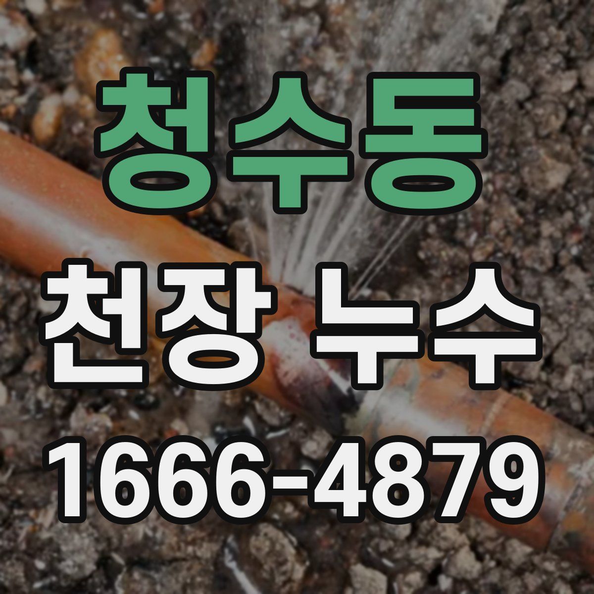청수동 천장 누수