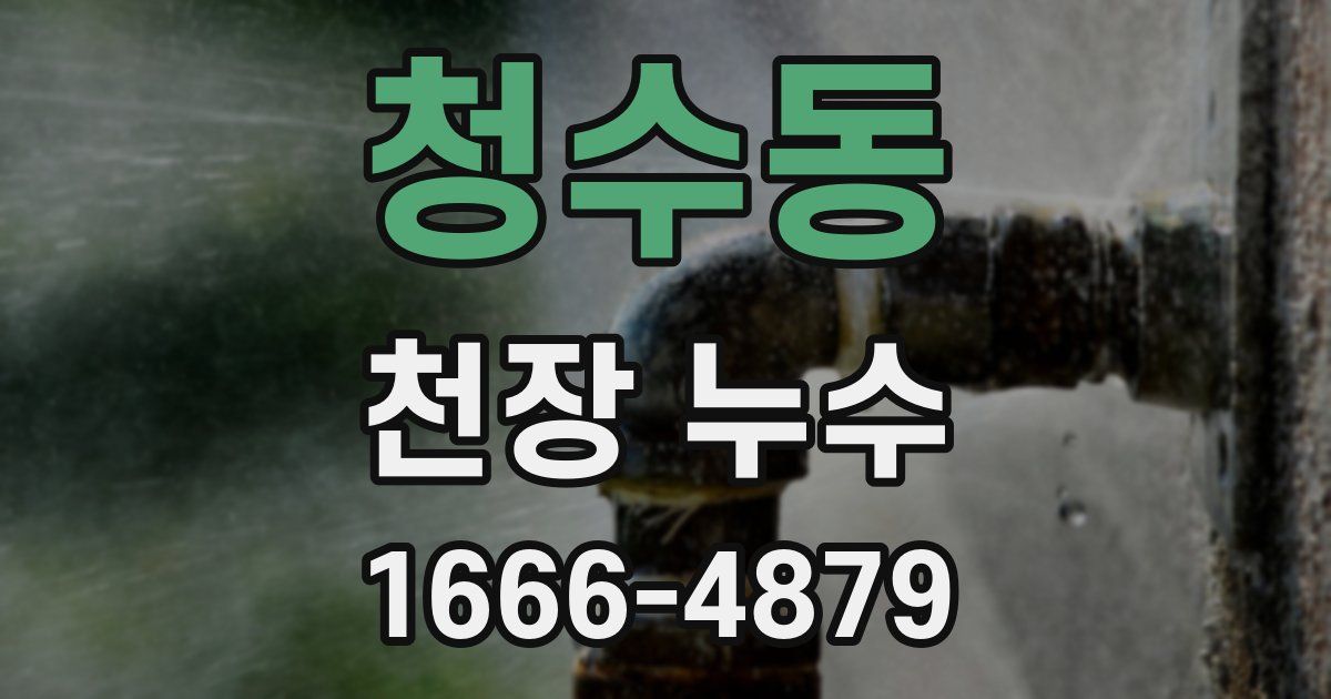 청수동 천장 누수