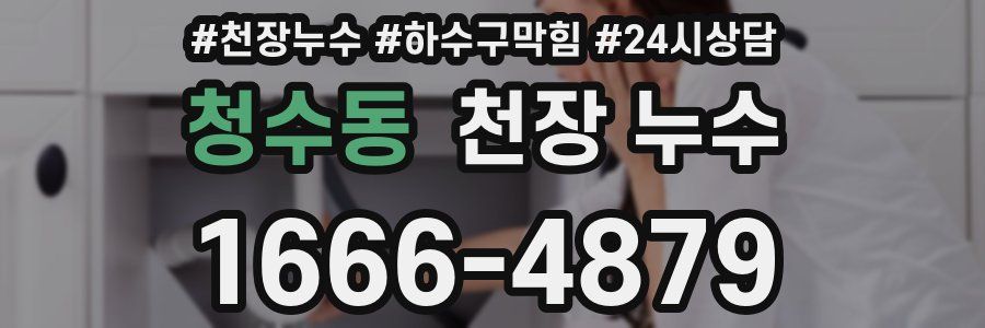 청수동 천장 누수