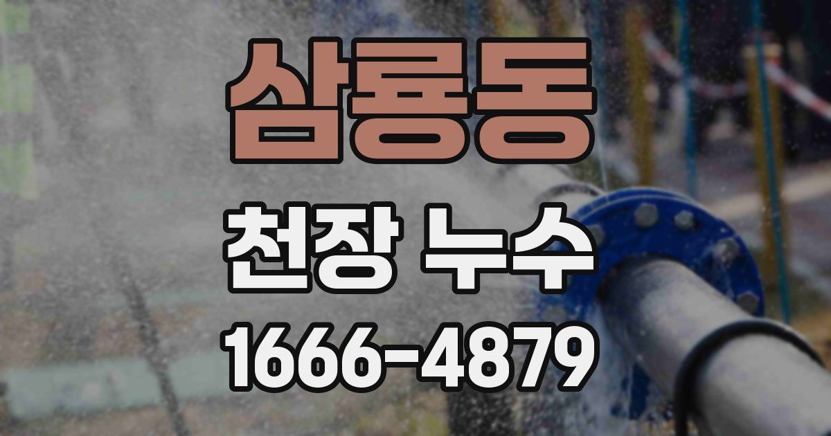 삼룡동 천장 누수