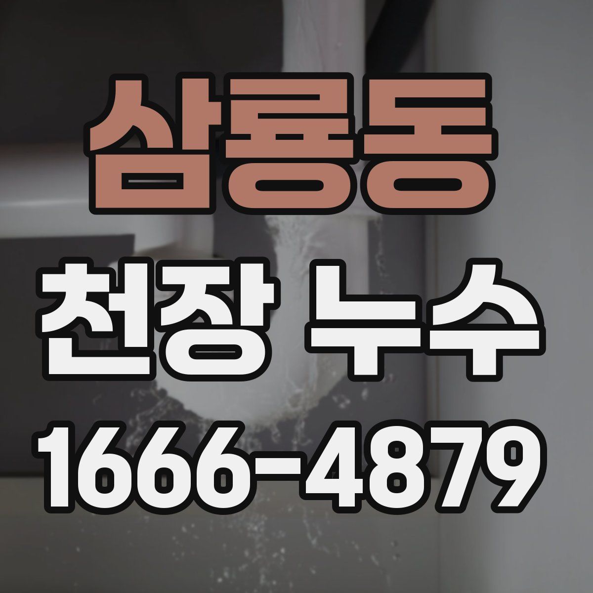 삼룡동 천장 누수