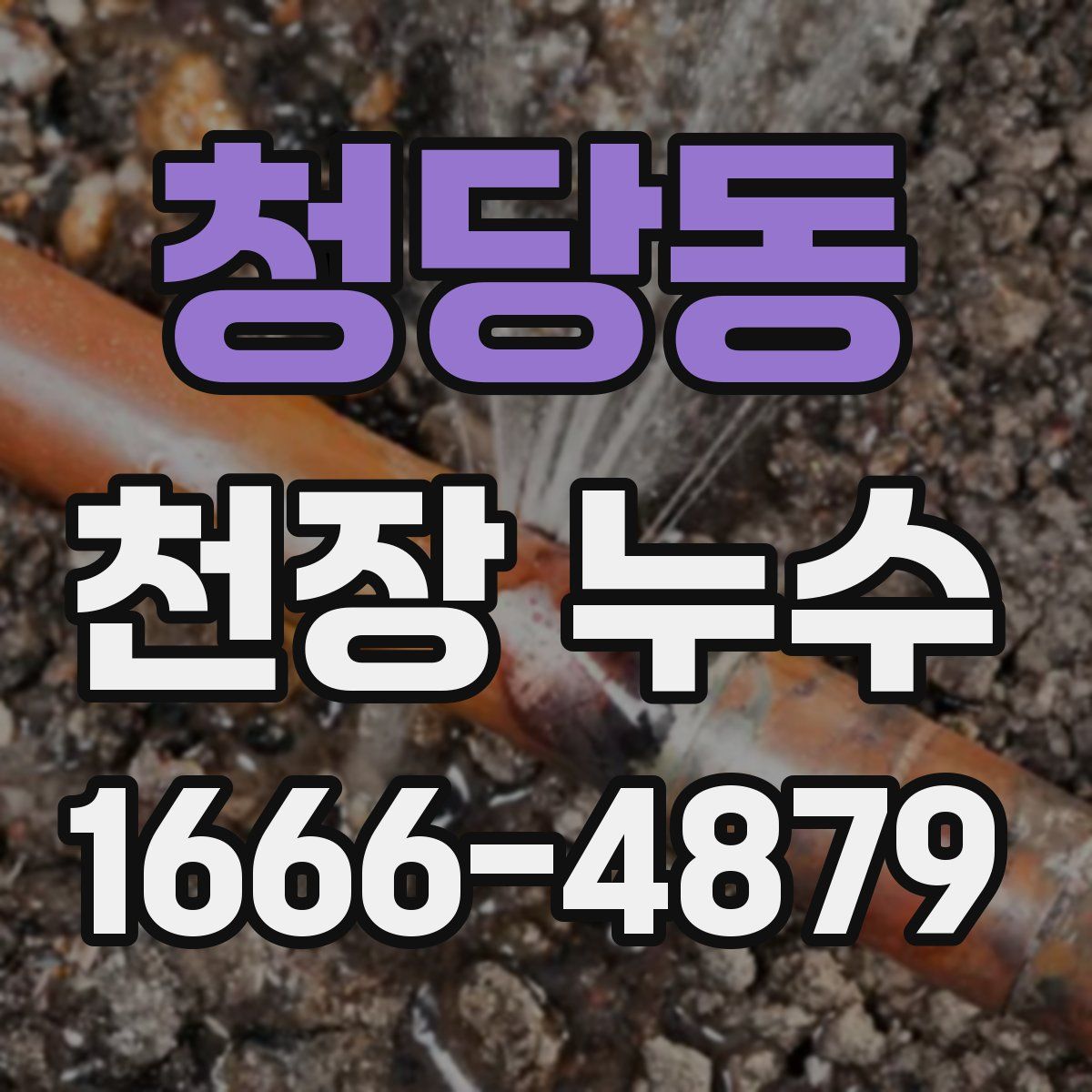 청당동 천장 누수