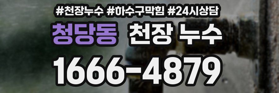 청당동 천장 누수