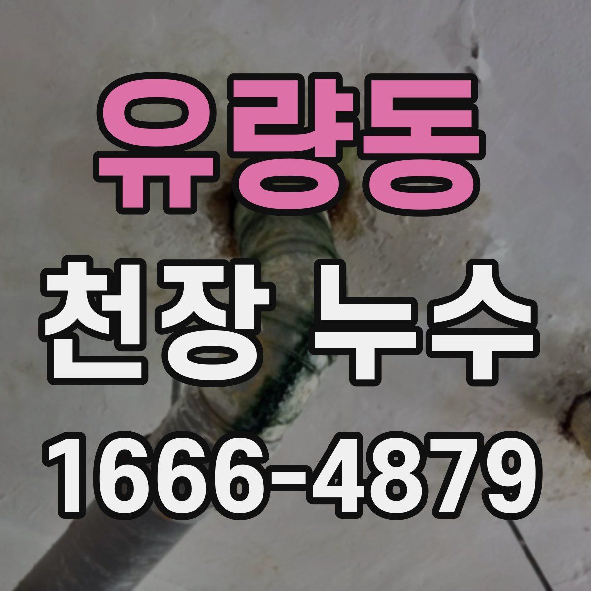 유량동 천장 누수