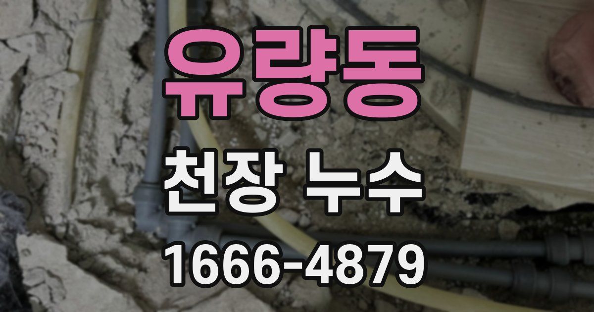 유량동 천장 누수