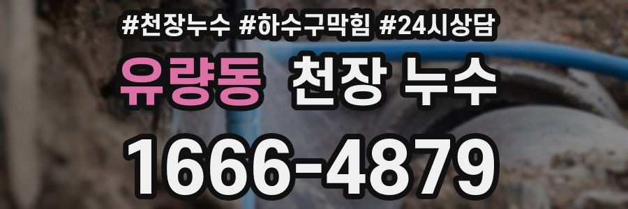 유량동 천장 누수
