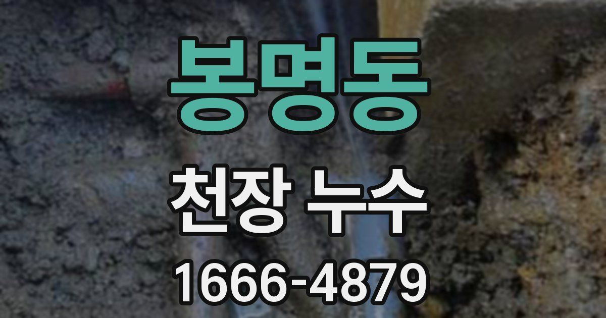 봉명동 천장 누수