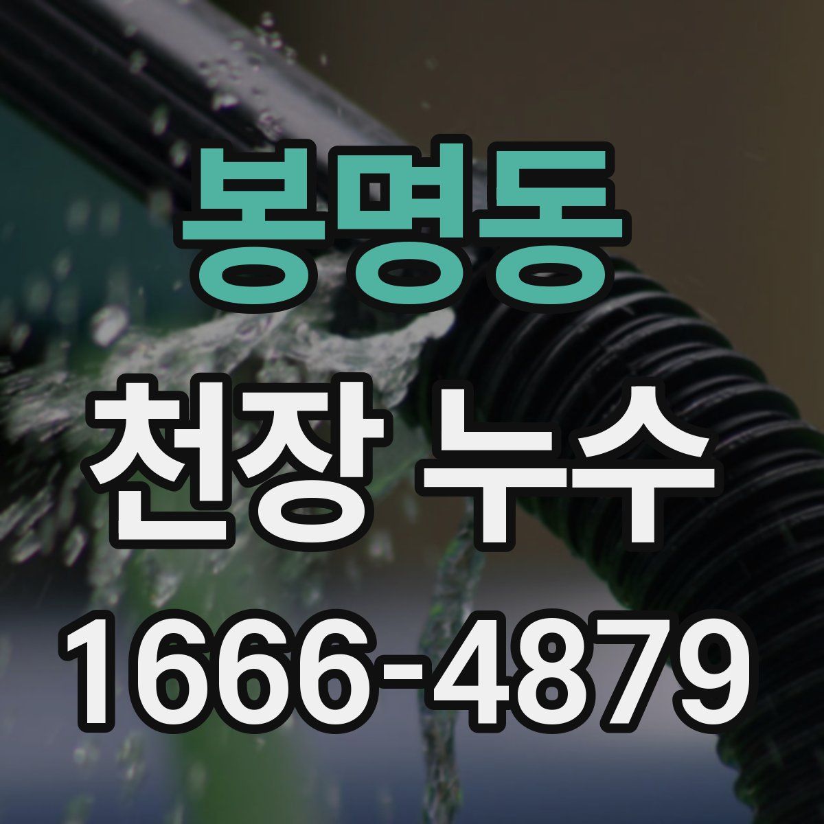 봉명동 천장 누수