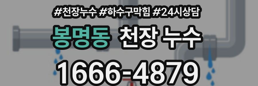 봉명동 천장 누수