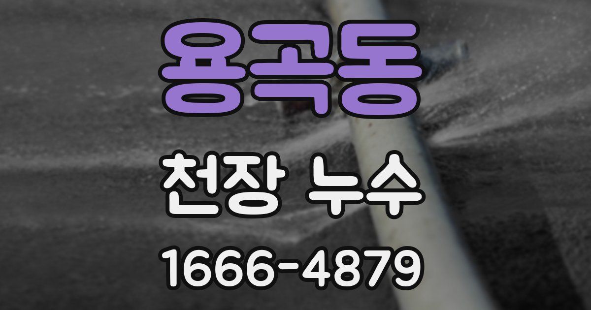 용곡동 천장 누수