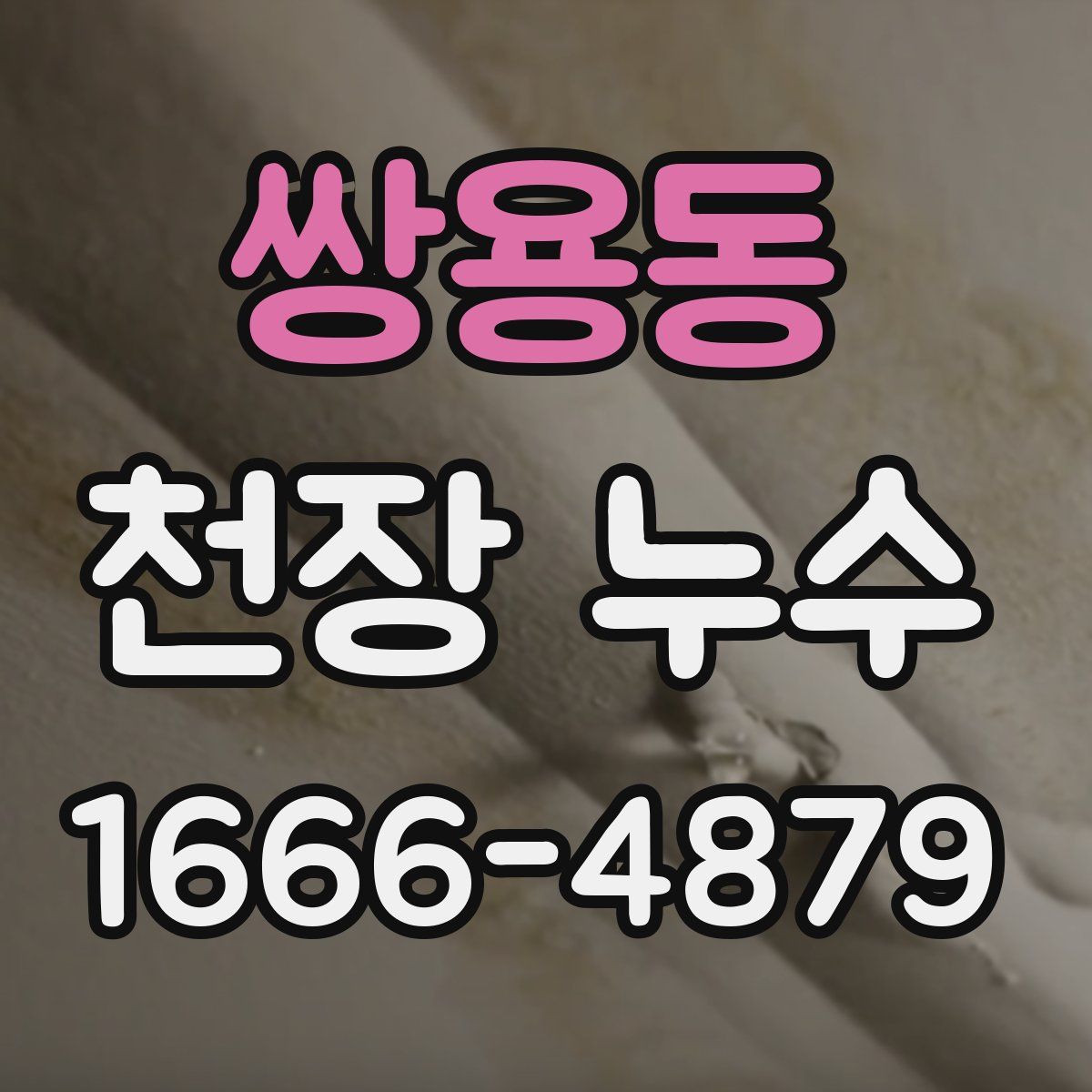 쌍용동 천장 누수