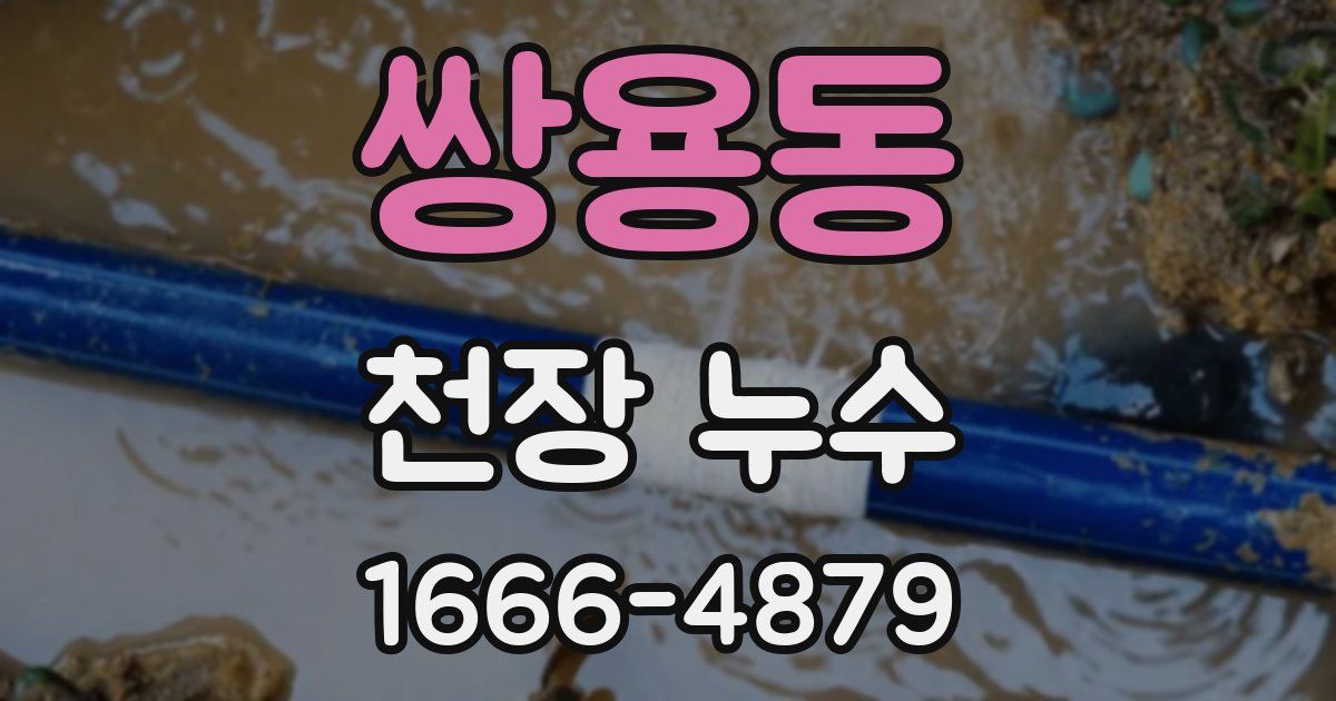 쌍용동 천장 누수