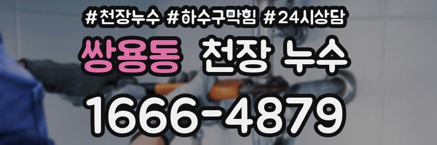 쌍용동 천장 누수