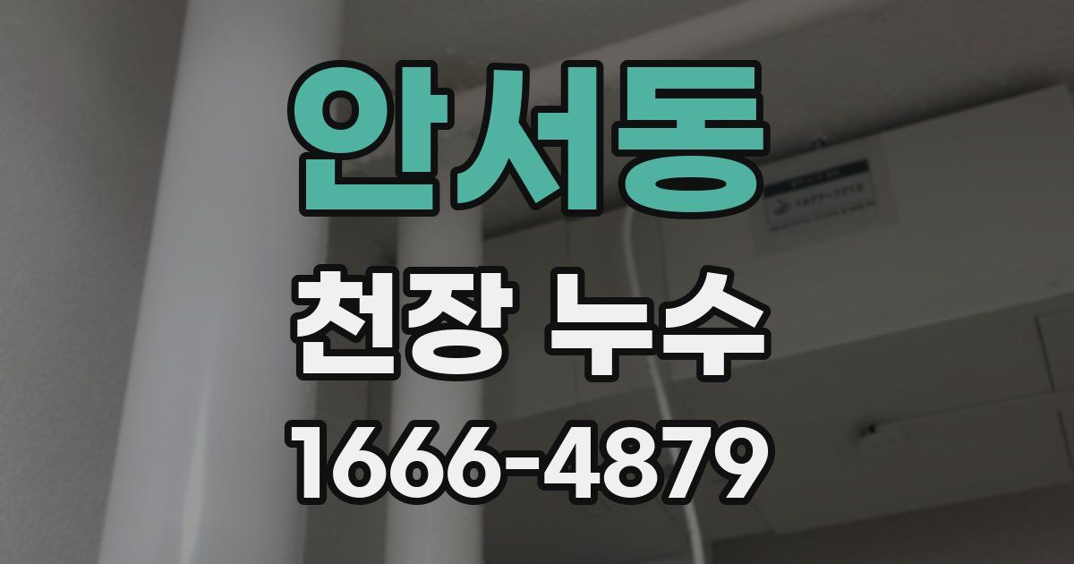 안서동 천장 누수