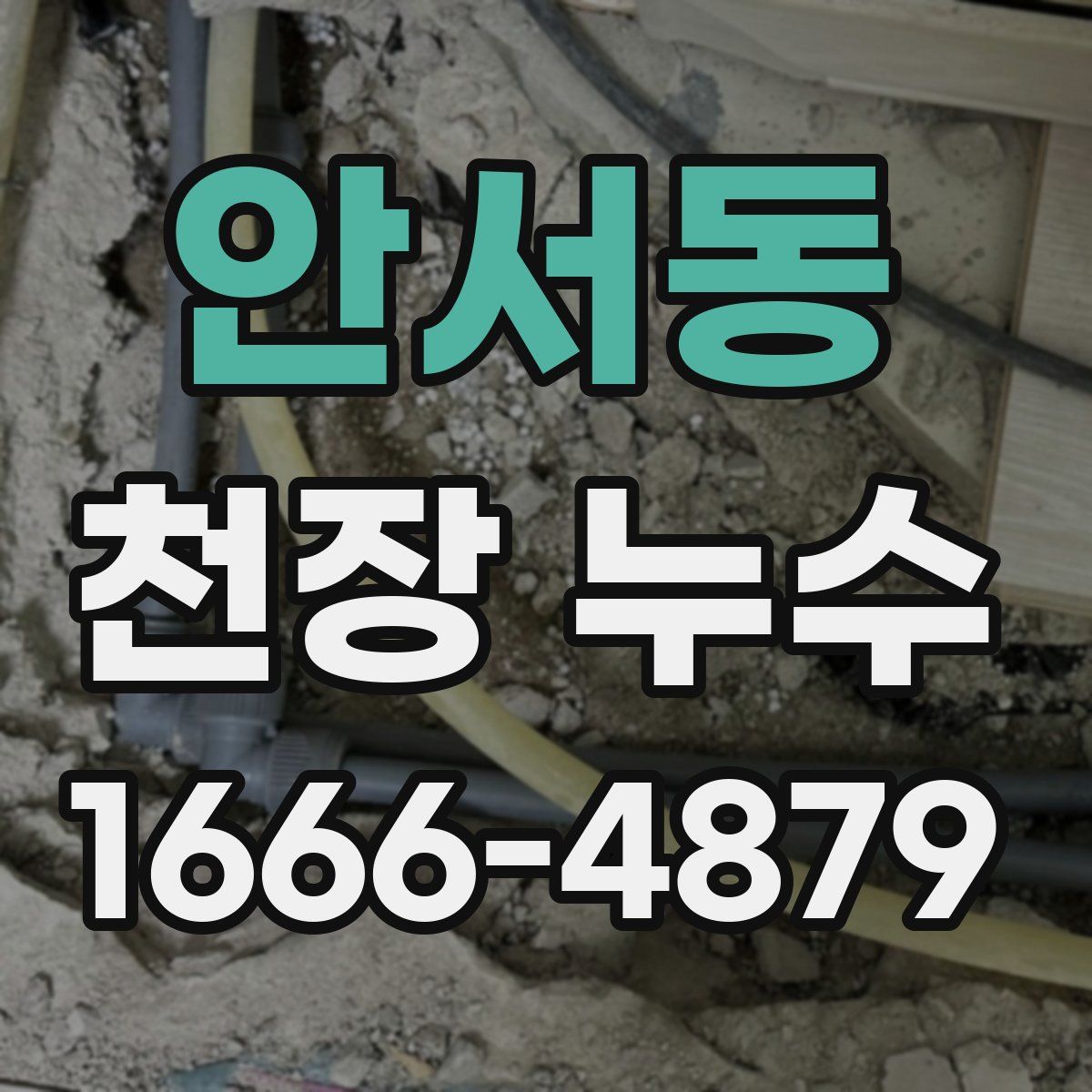 안서동 천장 누수