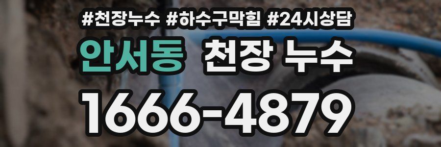 안서동 천장 누수