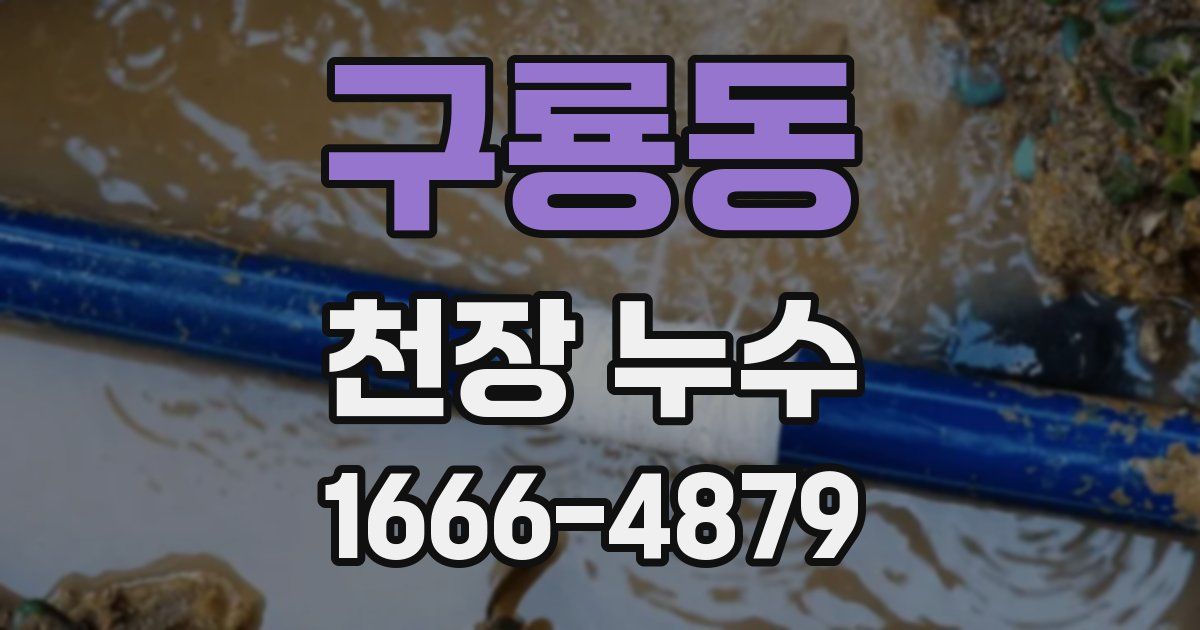 구룡동 천장 누수