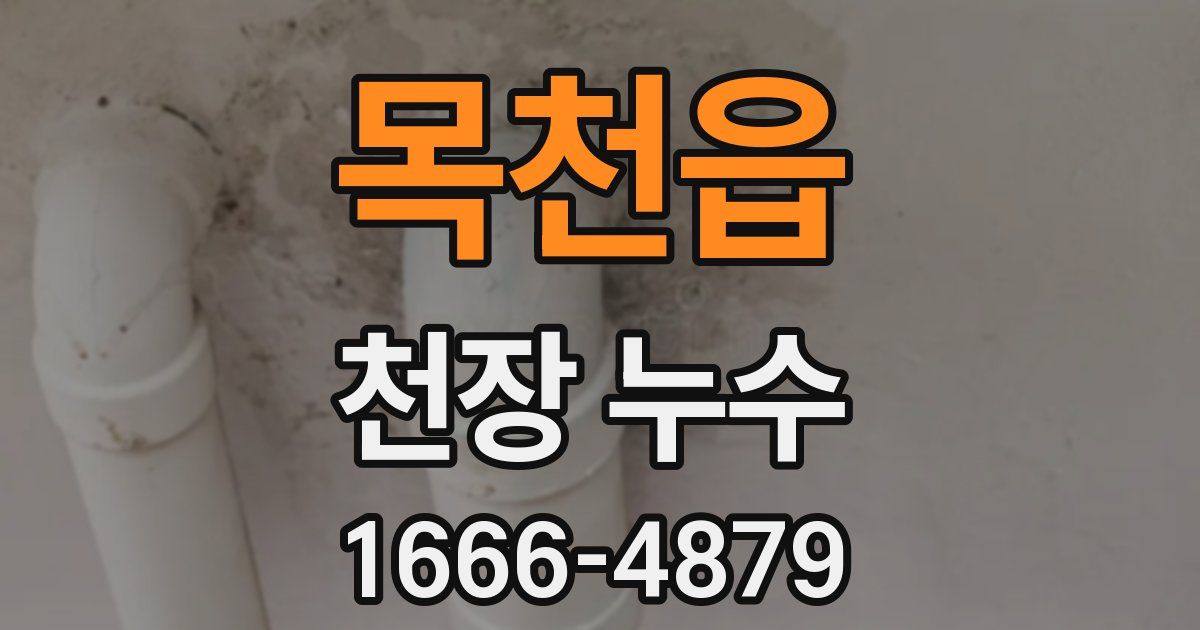 목천읍 천장 누수