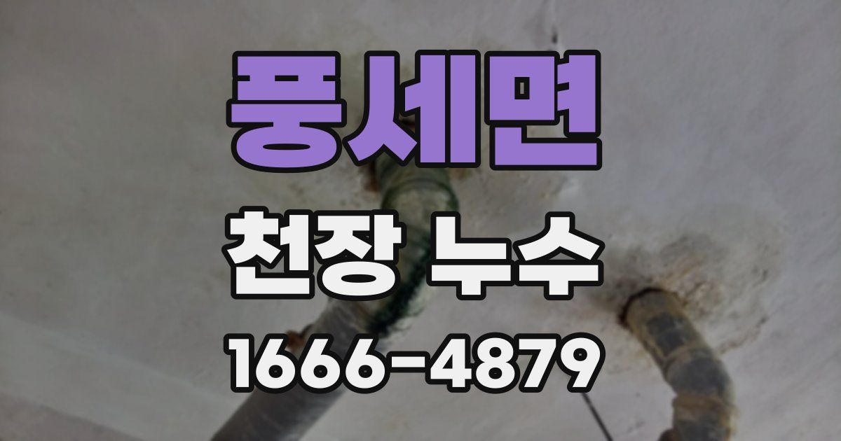 풍세면 천장 누수