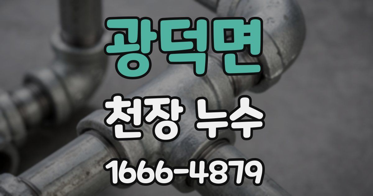 광덕면 천장 누수