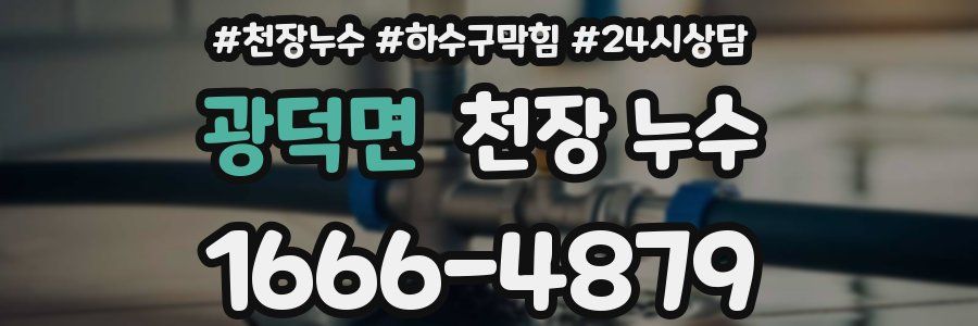 광덕면 천장 누수