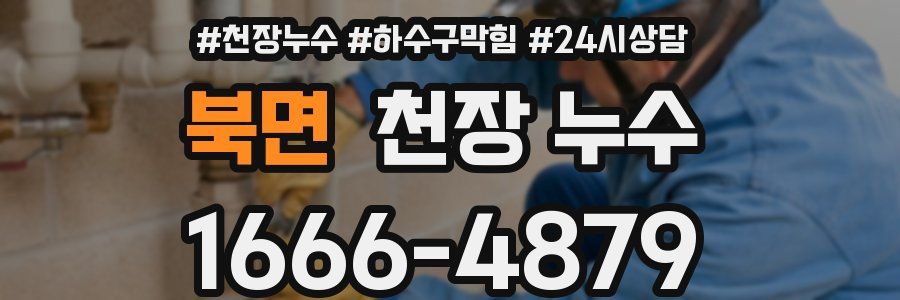 북면 천장 누수