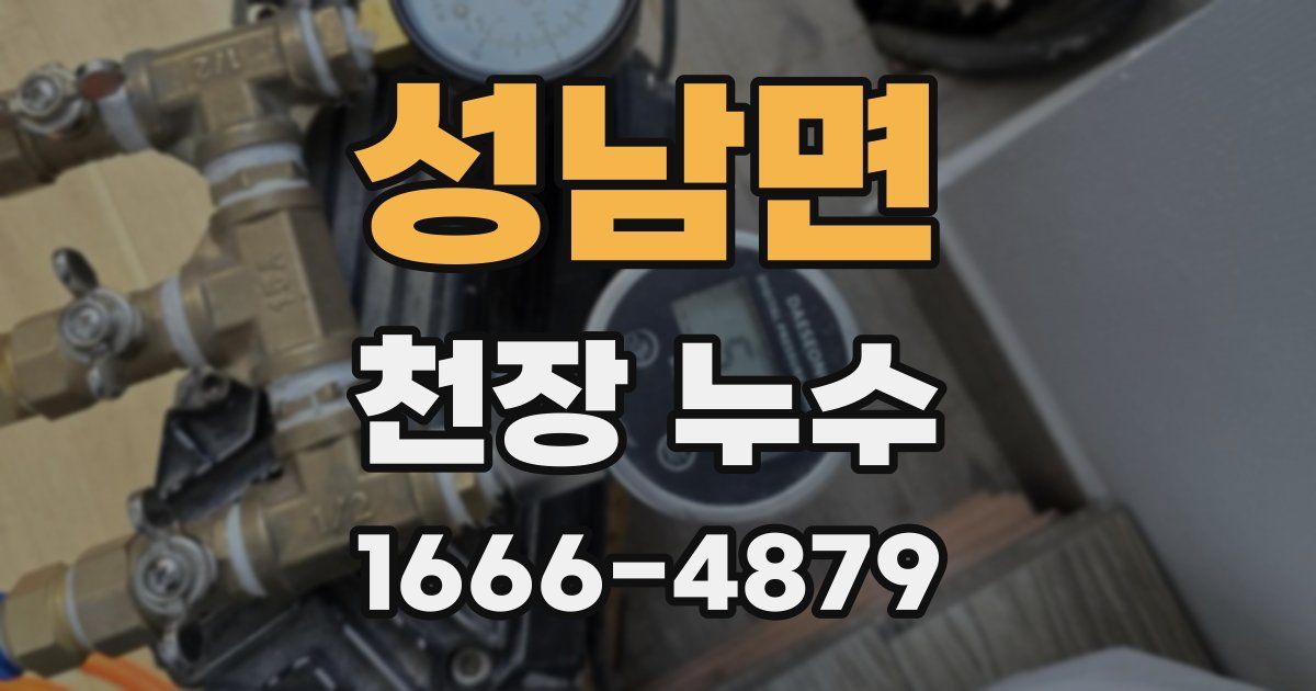 성남면 천장 누수