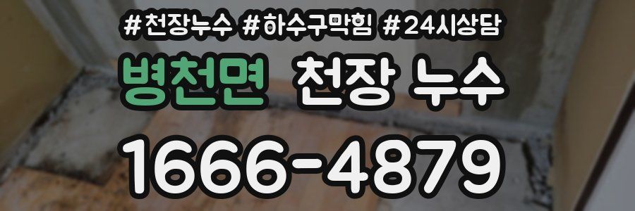 병천면 천장 누수